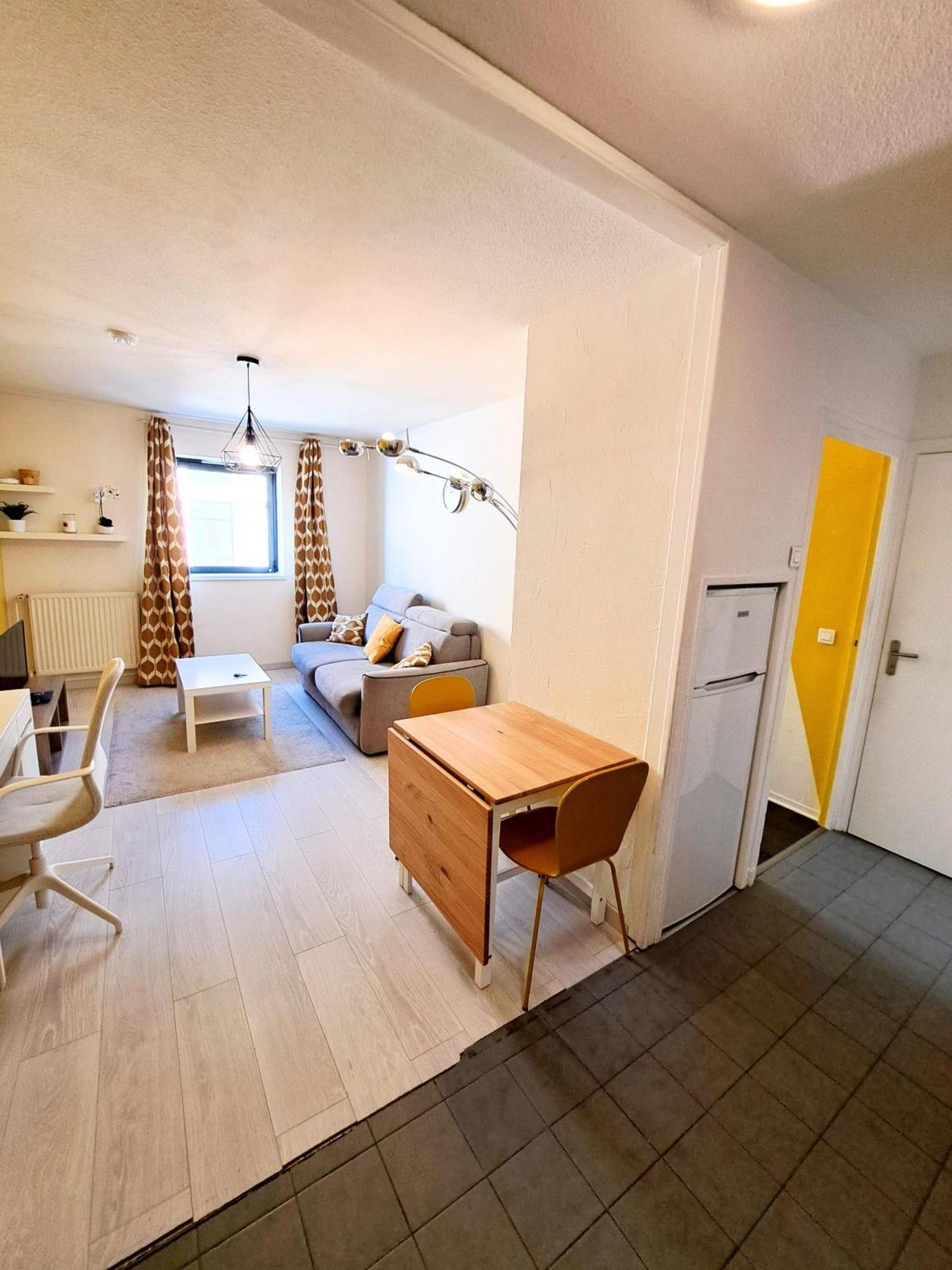 Bel Appartement Au Calme Avec Parking ليون المظهر الخارجي الصورة